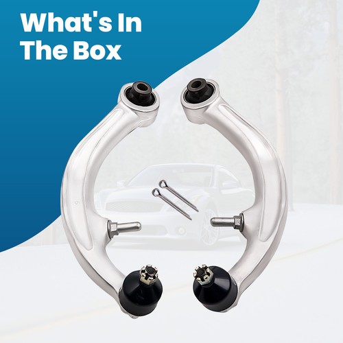 Front lower suspension - front,